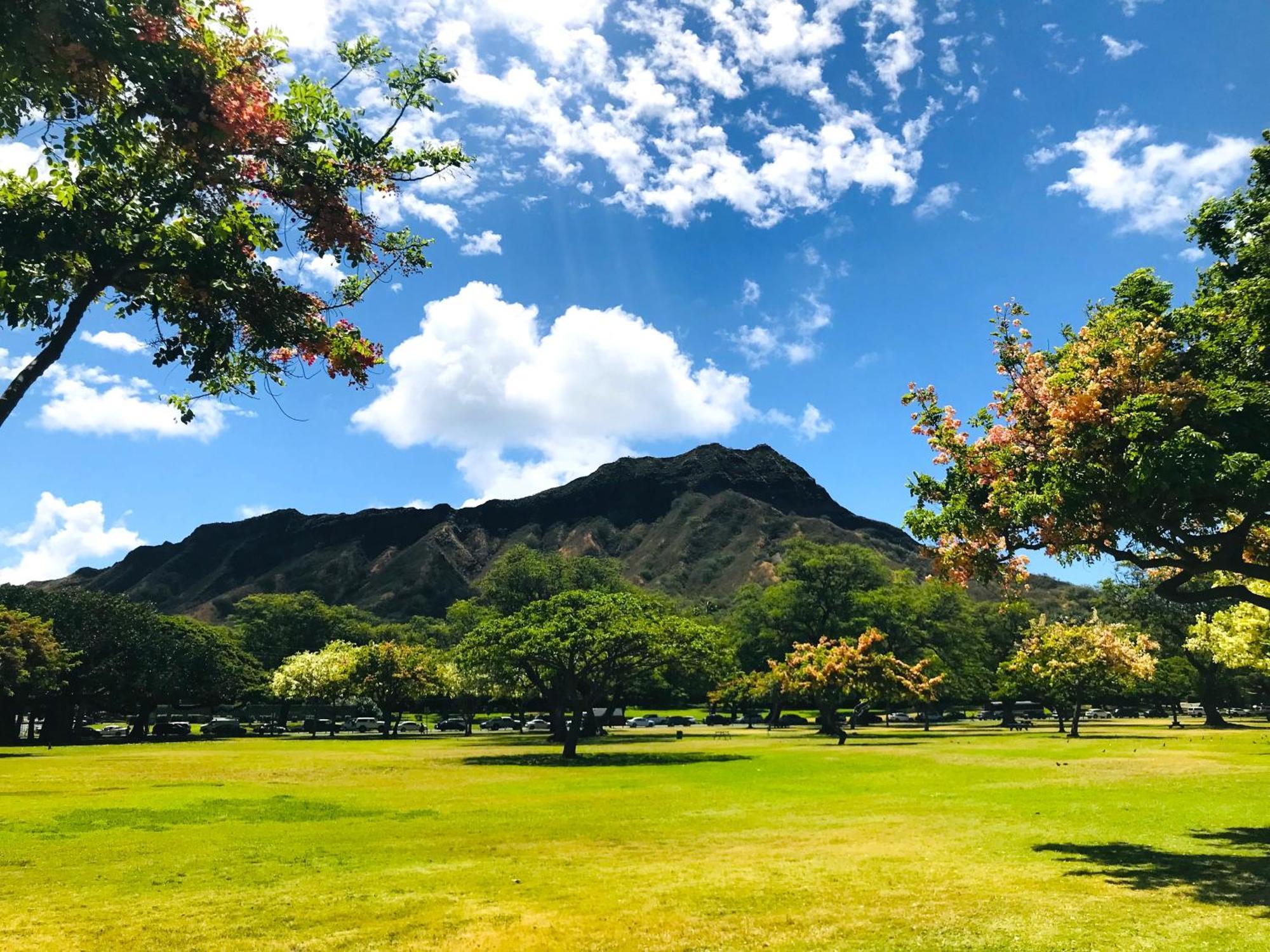 Royal Kuhio 1606 - Spacious Studio With Diamond Head City Views In The Heart Of Waikiki! โฮโนลูลู ภายนอก รูปภาพ